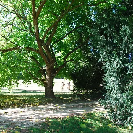 Chalet Du Clos